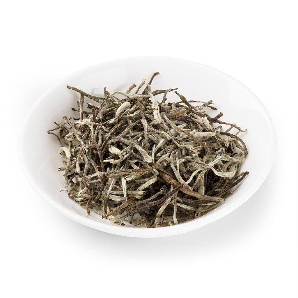 Phidim Silver Tips Silver Yeti White Tea — Tea Curious